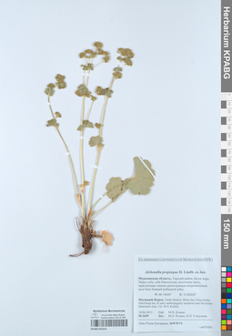 KPABG052314