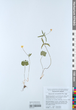 KPABG052344