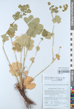 KPABG052354