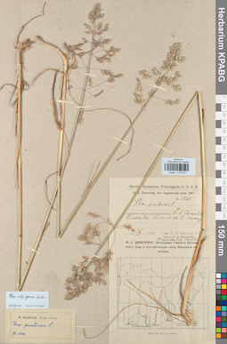 KPABG010518