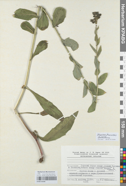 KPABG050388