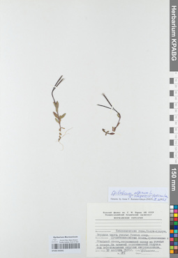 KPABG050391