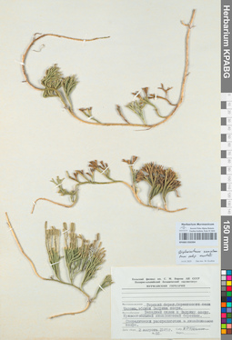 KPABG050394