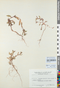 KPABG050396