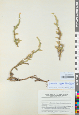 KPABG050397
