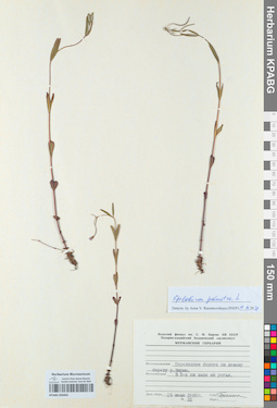 KPABG050402