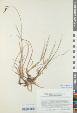 KPABG050405