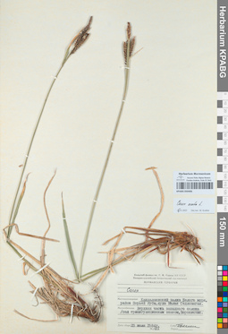 KPABG050406