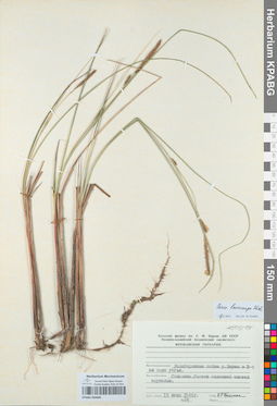 KPABG050409