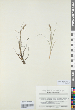 KPABG050412