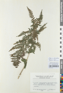 KPABG050413