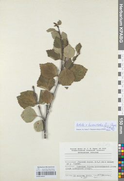 KPABG050414