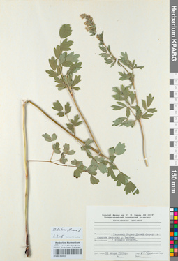KPABG050422