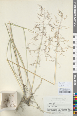 KPABG050424
