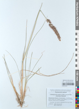 KPABG050530