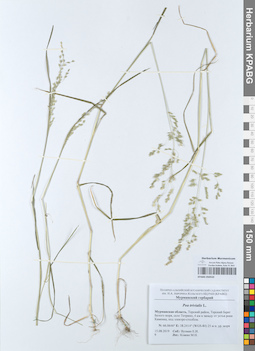 KPABG050533