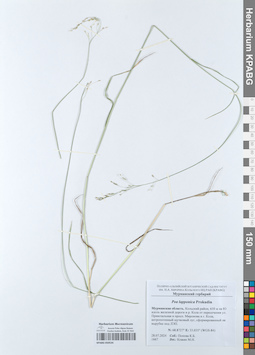 KPABG050534