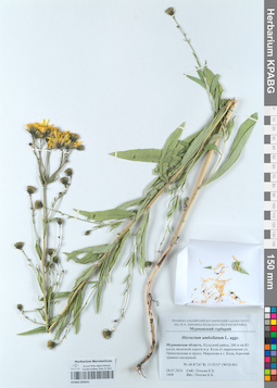 KPABG050541