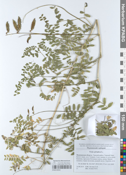 KPABG050543