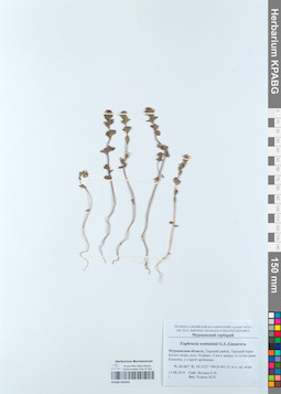 KPABG050545
