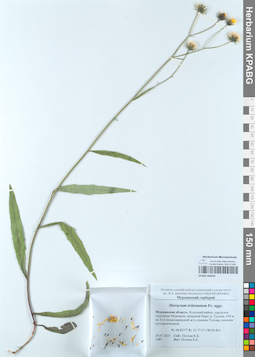KPABG050553