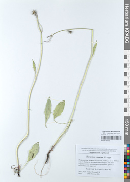KPABG050555