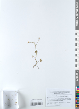 KPABG050557