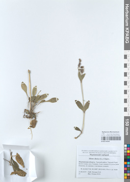 KPABG050560