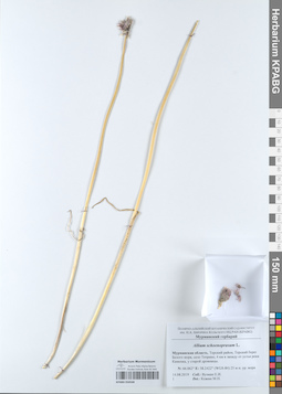 KPABG050568