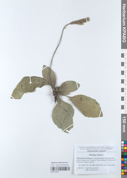 KPABG050576