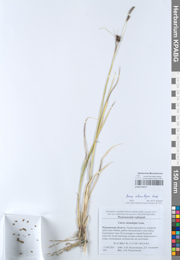 KPABG050577