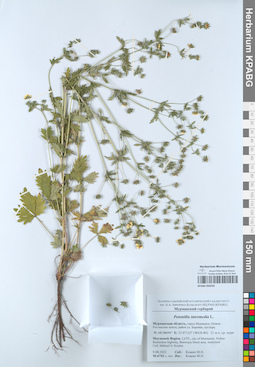 KPABG050595