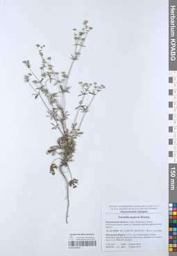 KPABG050599