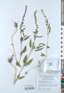 KPABG050604