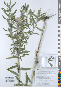 KPABG050608