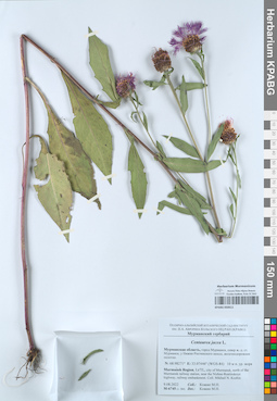 KPABG050611