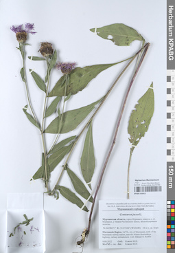 KPABG050612