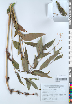 KPABG050613