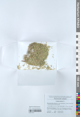 KPABG050616