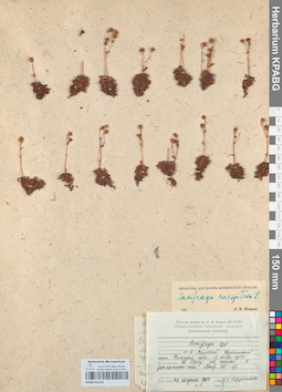 KPABG051422