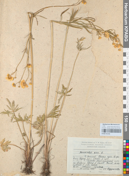 KPABG051436