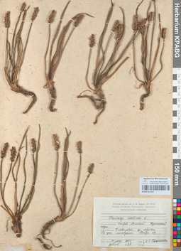 KPABG051439