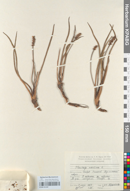KPABG051440