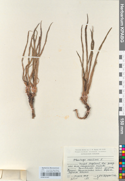 KPABG051447