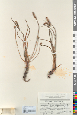 KPABG051448