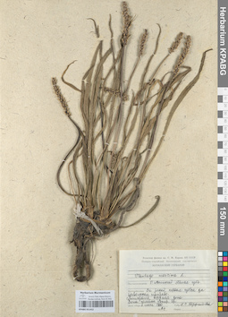 KPABG051452
