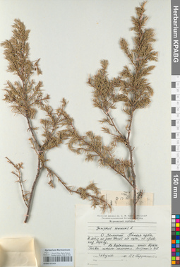 KPABG051459