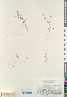 KPABG051467