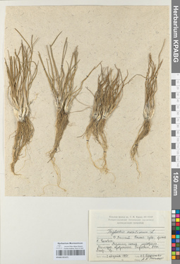 KPABG051471