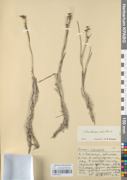 KPABG051473